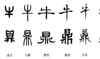 写写汉字的演变过程及特点